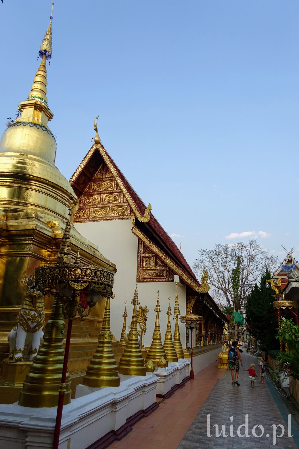 Chiang Rai i okolice