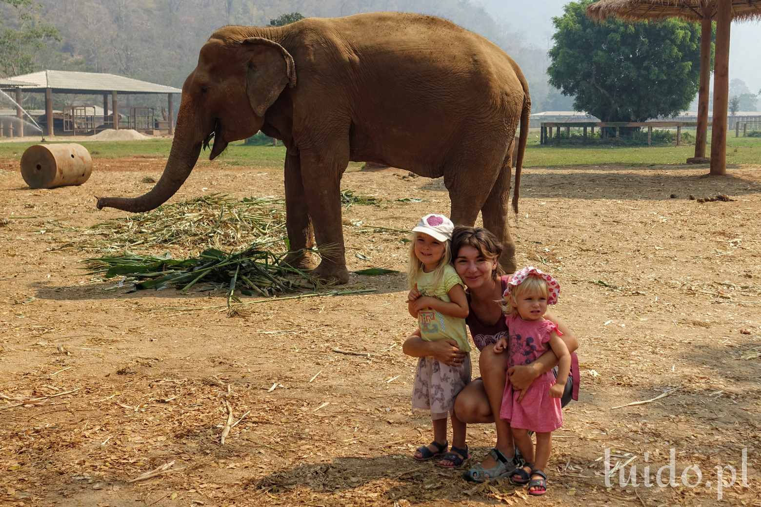 Wizyta u słoni - Elephant Nature Park