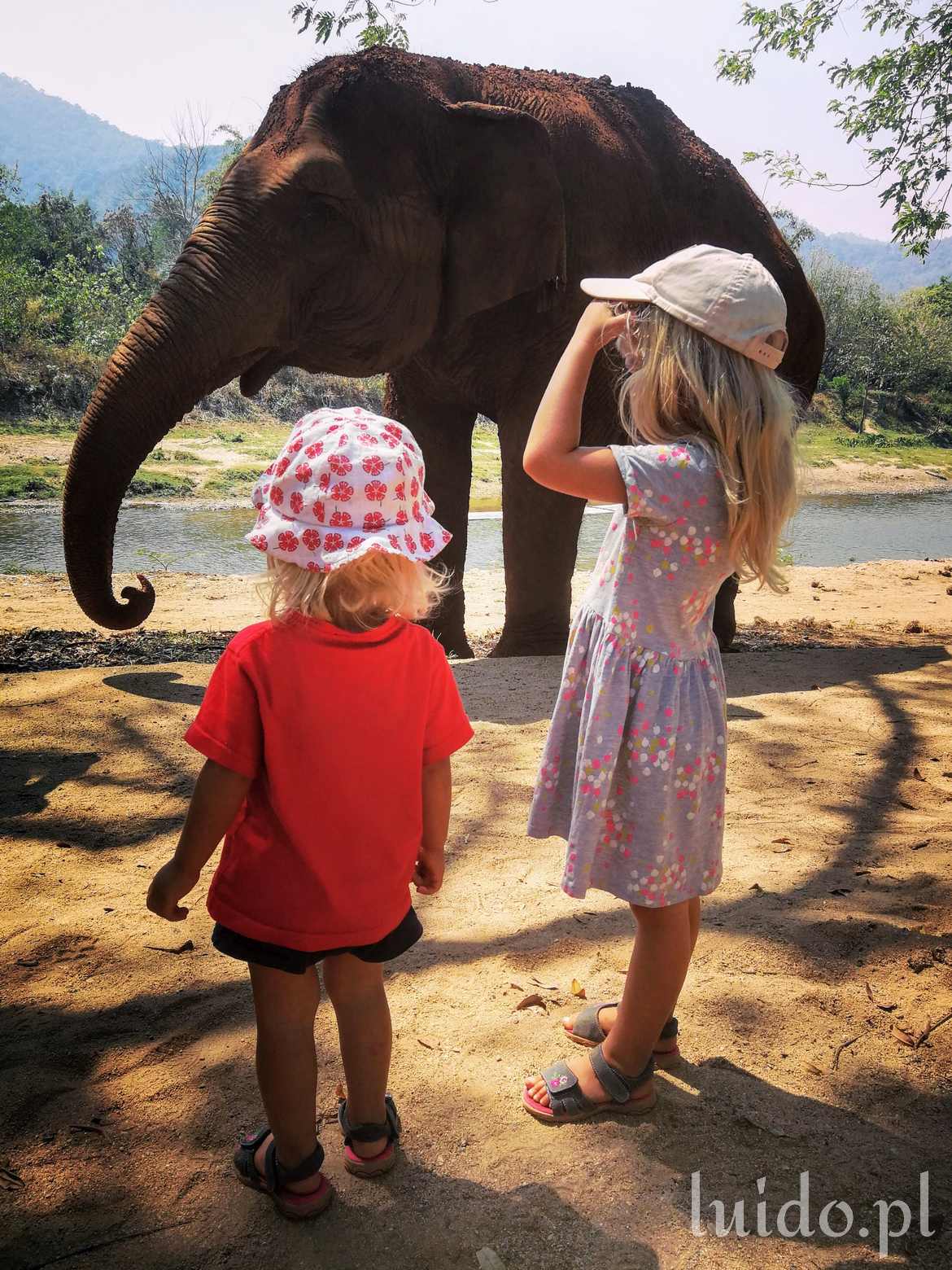 Wizyta u słoni - Elephant Nature Park
